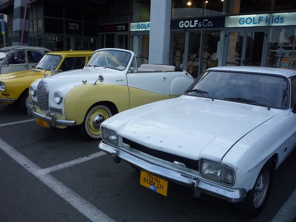 P1090025.jpg