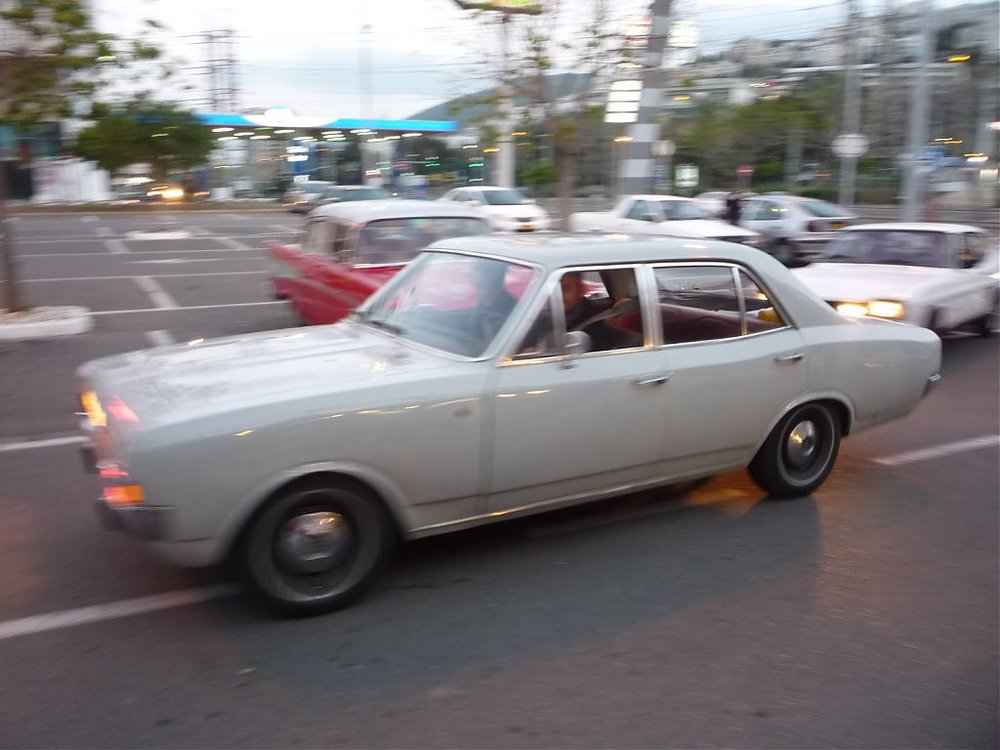 P1090038.jpg