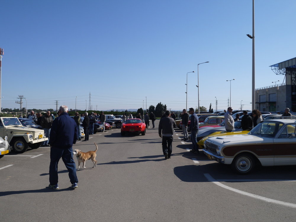 P1090159.jpg