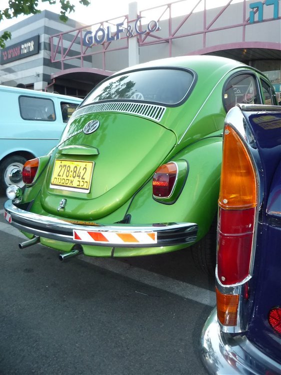 P1090576.jpg