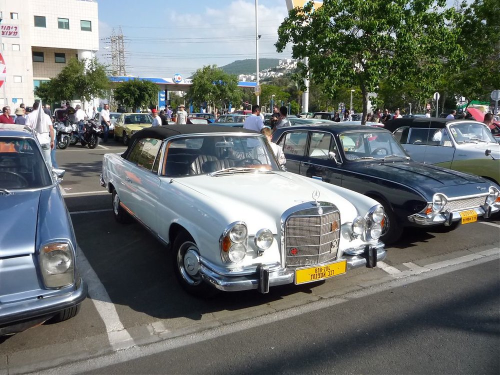 P1090623.jpg
