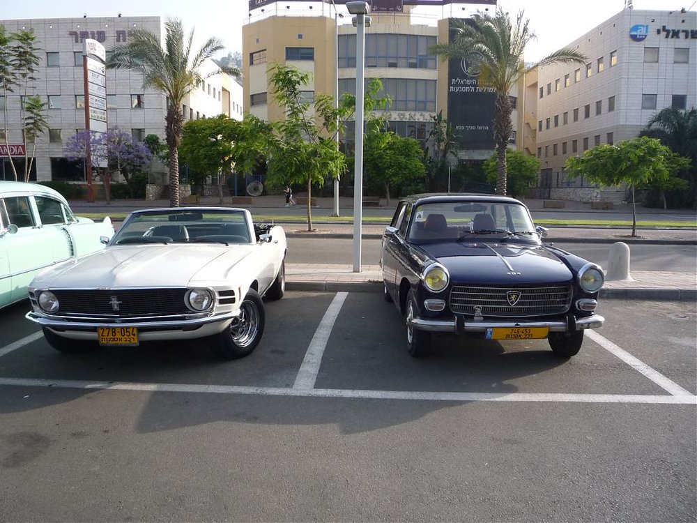 P1090775.jpg