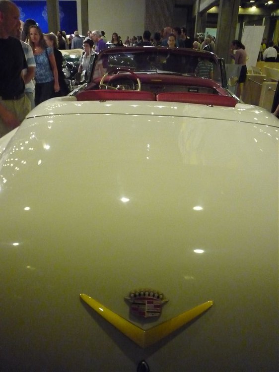 P1100034.jpg