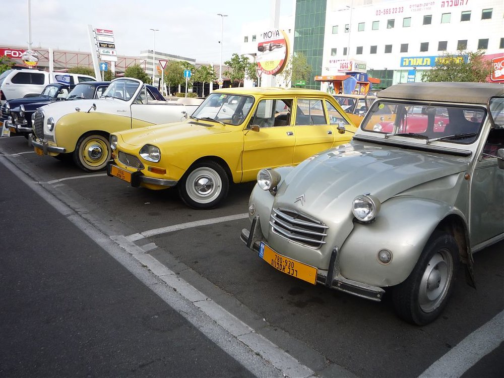 P1100041.jpg