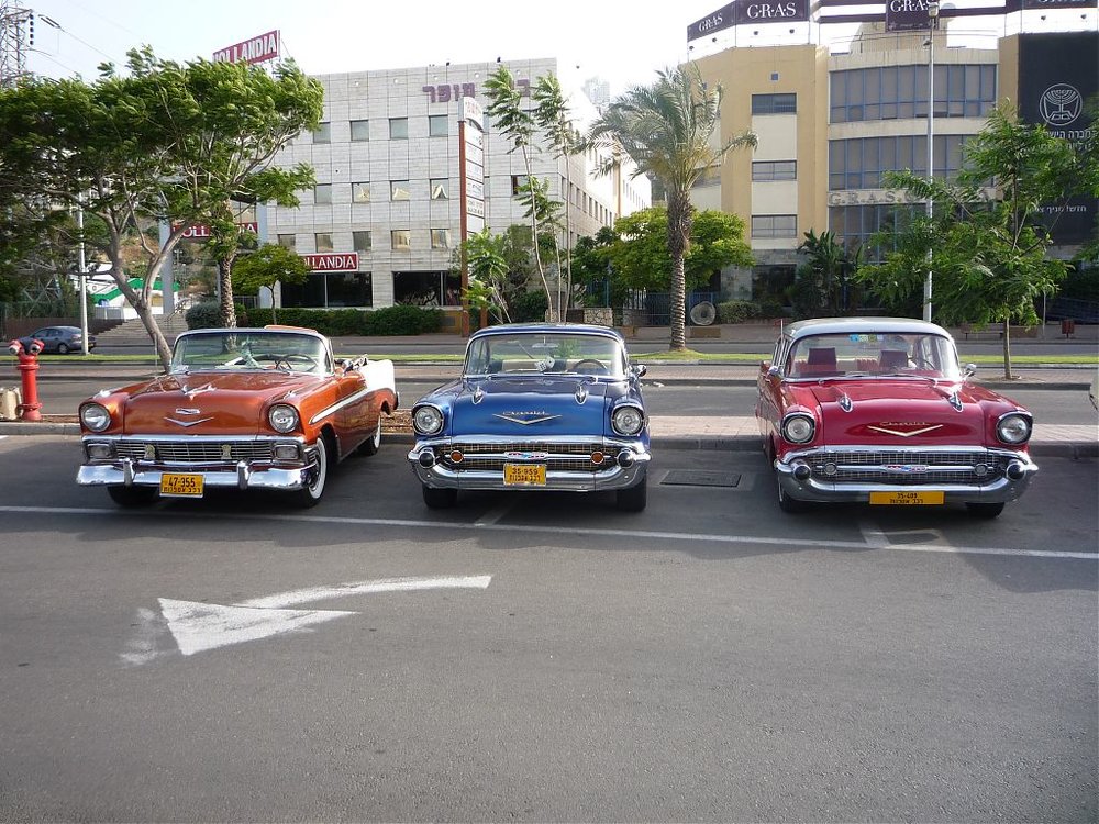 P1100048.jpg
