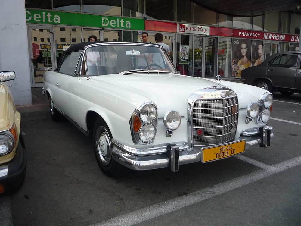 P1100946.jpg