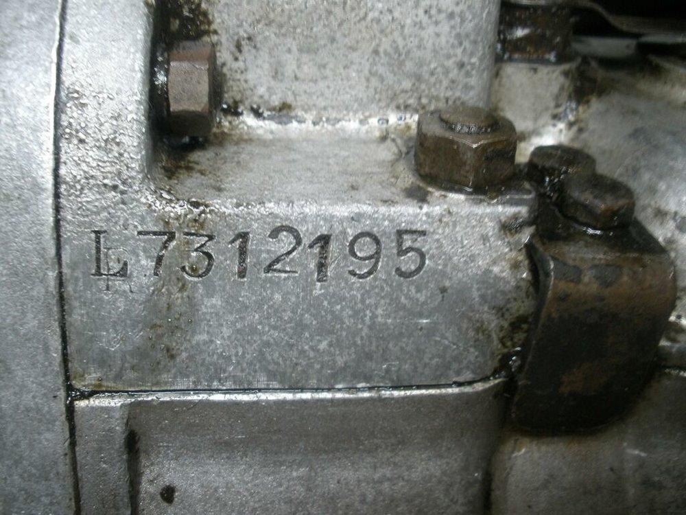 P1102973.JPG