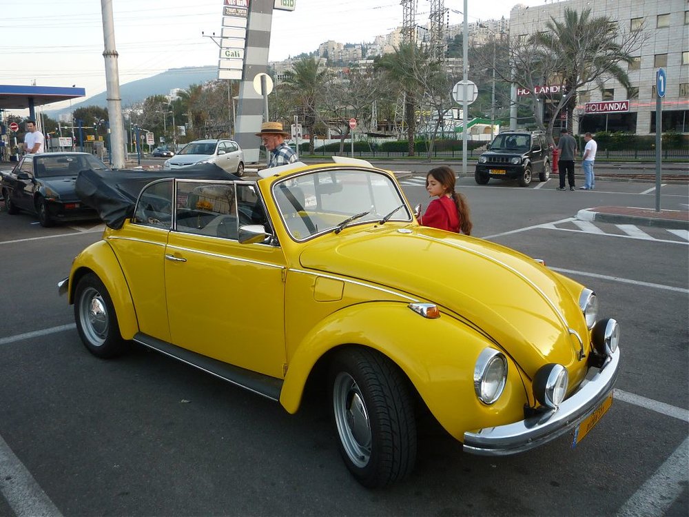 P1150025.jpg