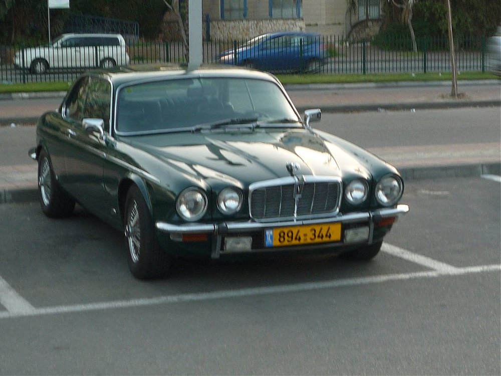 P1150028.jpg