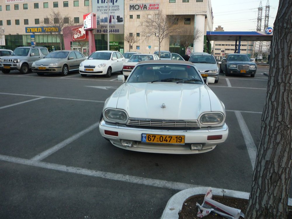 P1150037.jpg