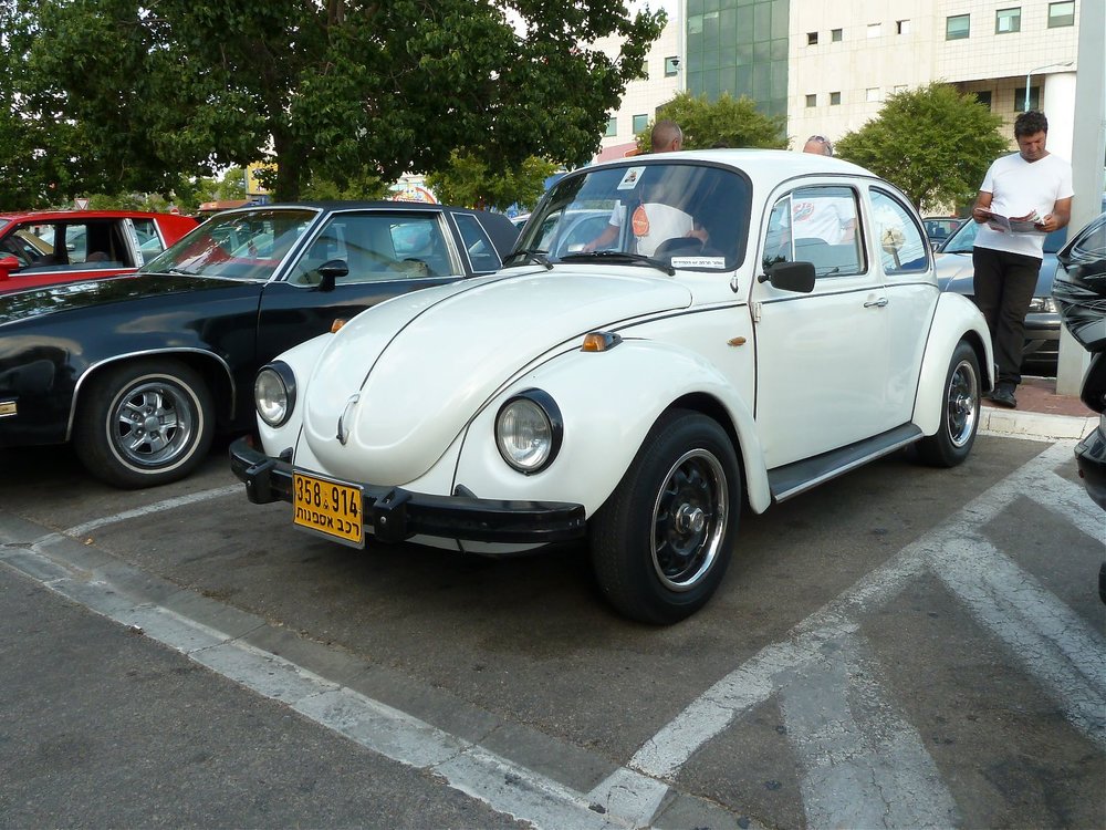 P1150169.jpg