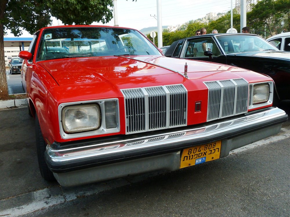 P1150171.jpg