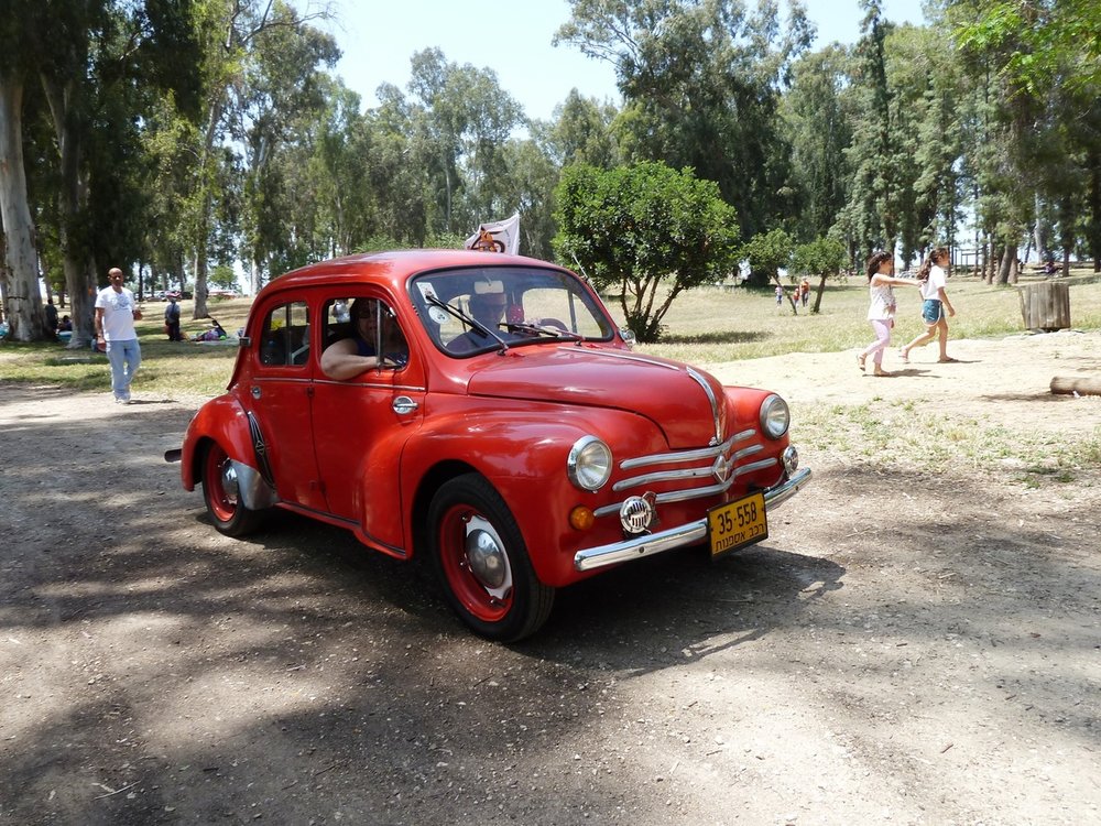 P1210300.jpg