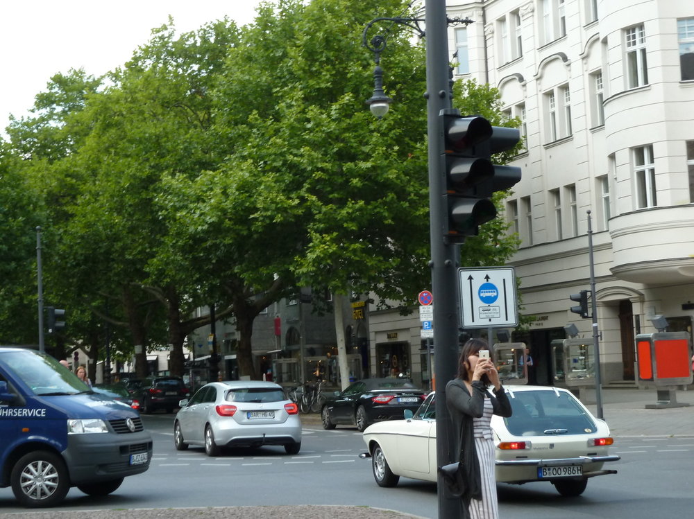 P1220274.jpg