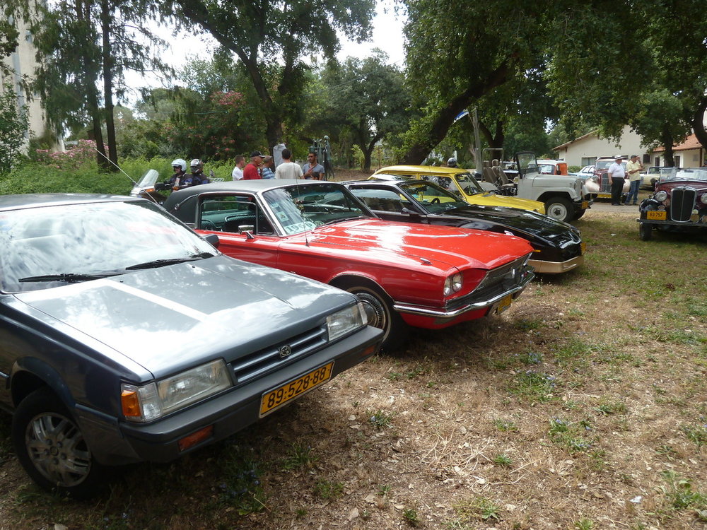 P1300204.jpg