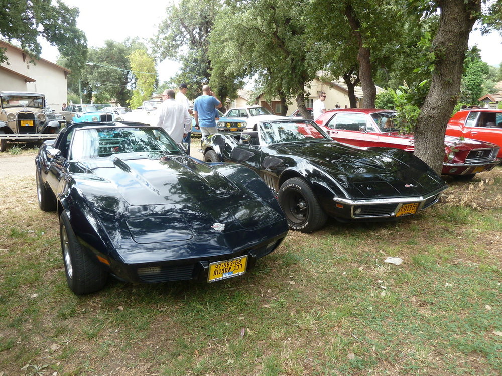P1300206.jpg