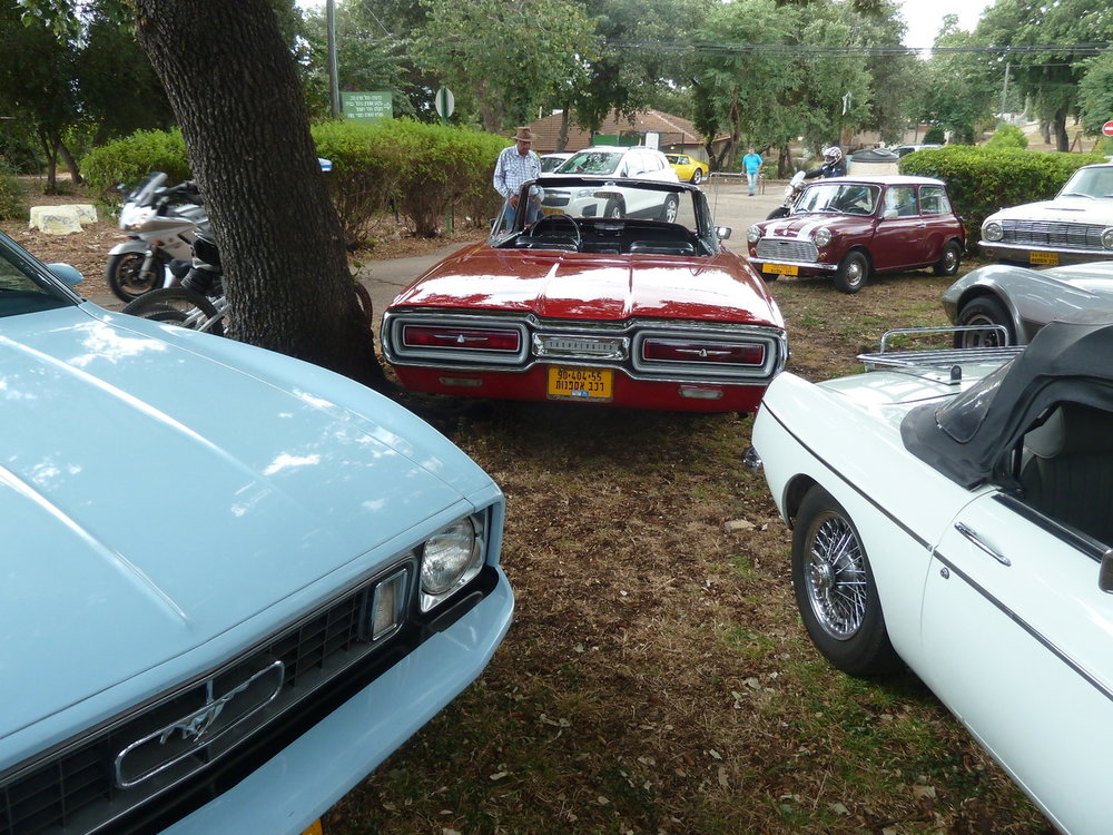 P1300227.jpg