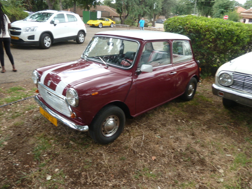 P1300230.jpg