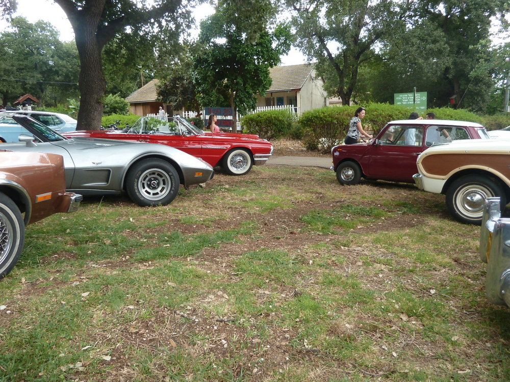 P1300236.jpg