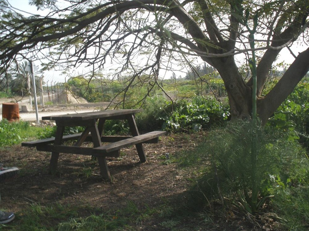 P2132012.jpg