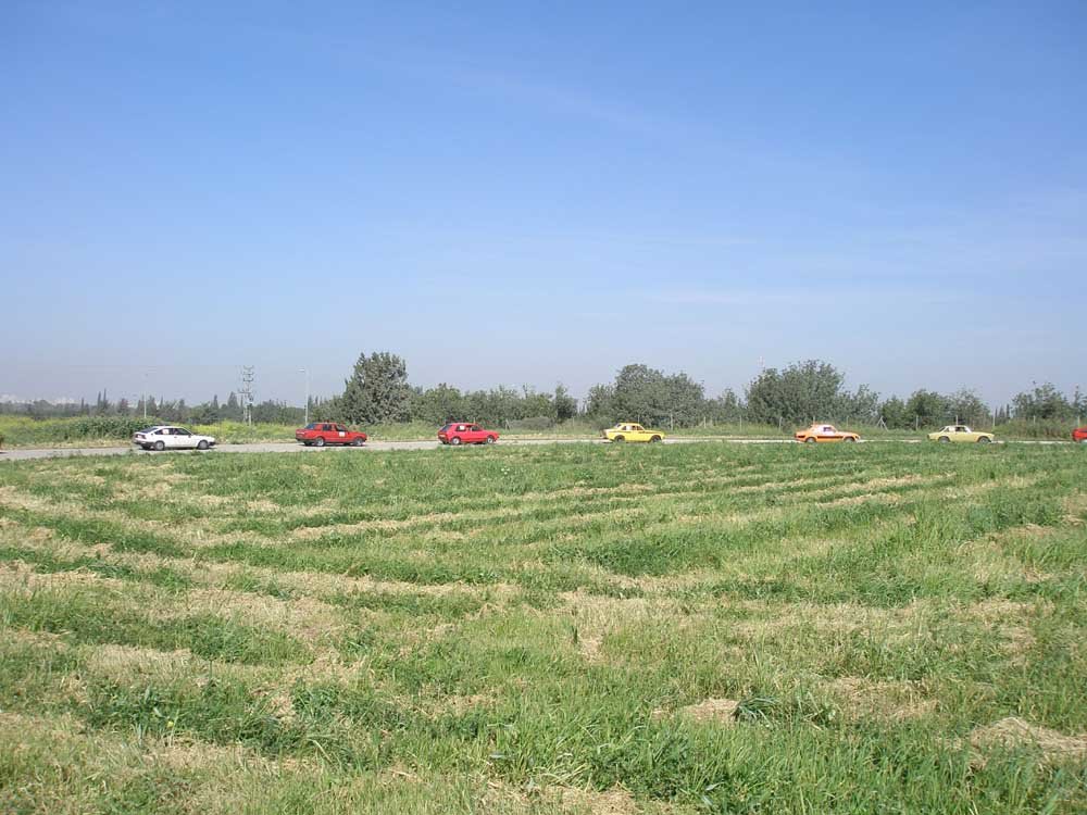 P2202504.JPG