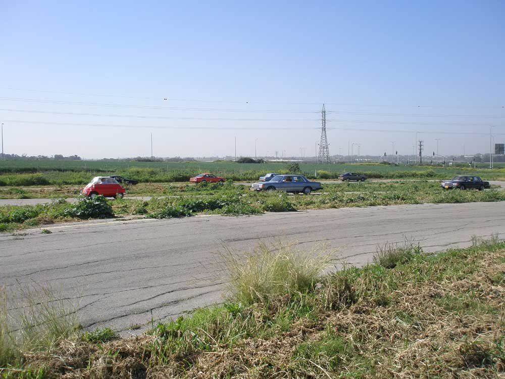 P2202506.JPG