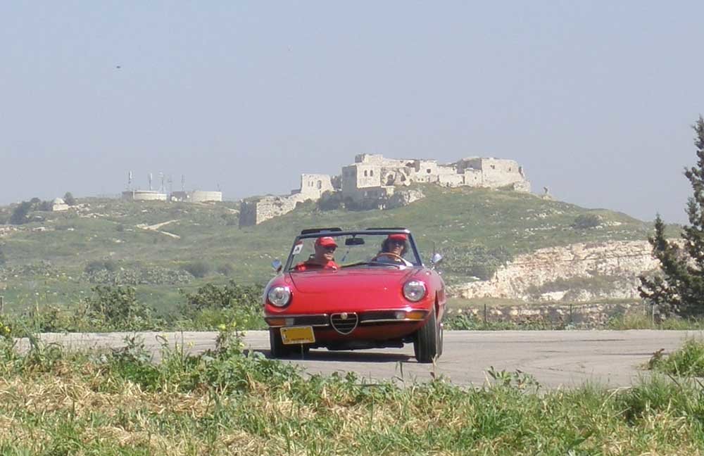 P2202541.JPG