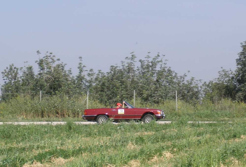 P2202548.JPG