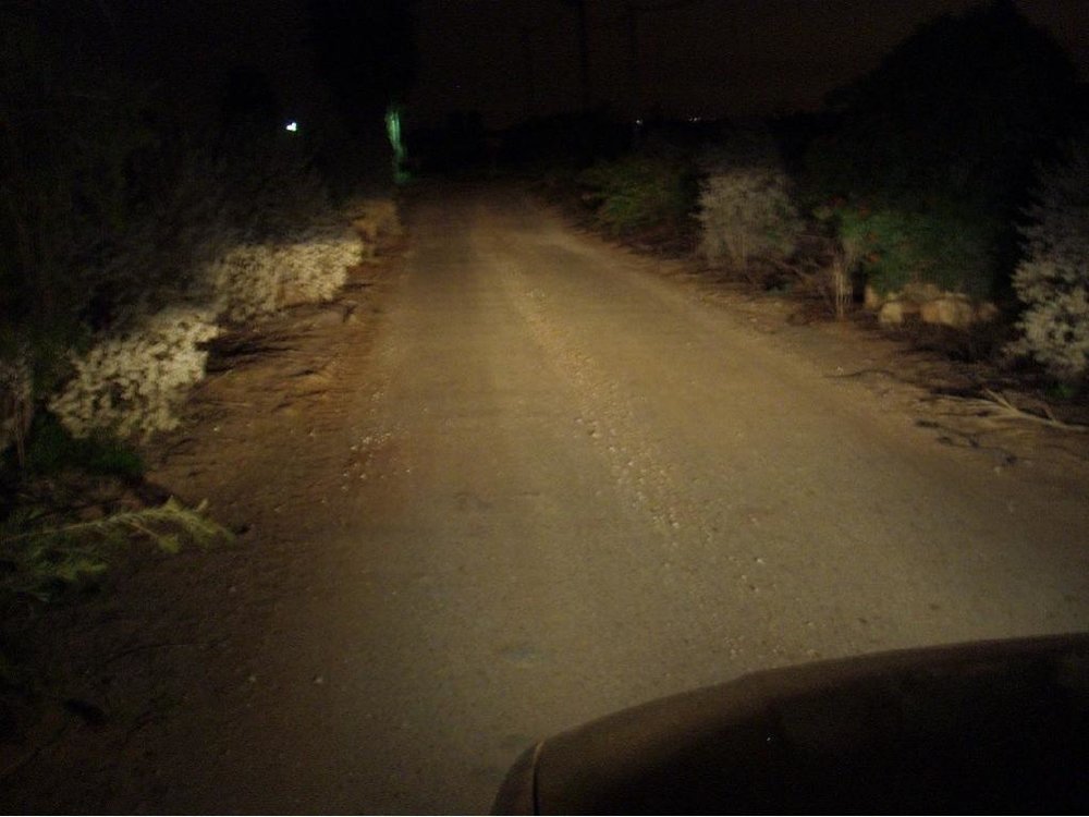 P2241230.jpg