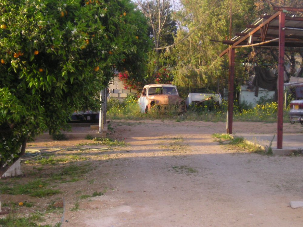 P3230035.JPG