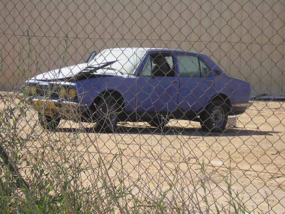 P4010020.JPG
