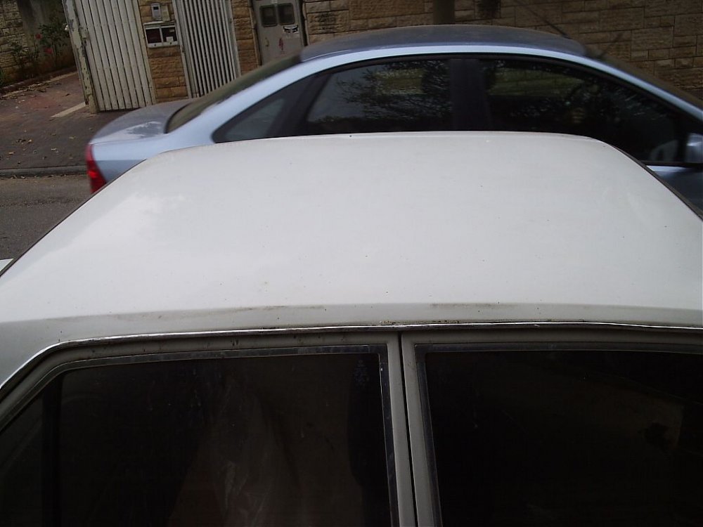 P4150006.jpg
