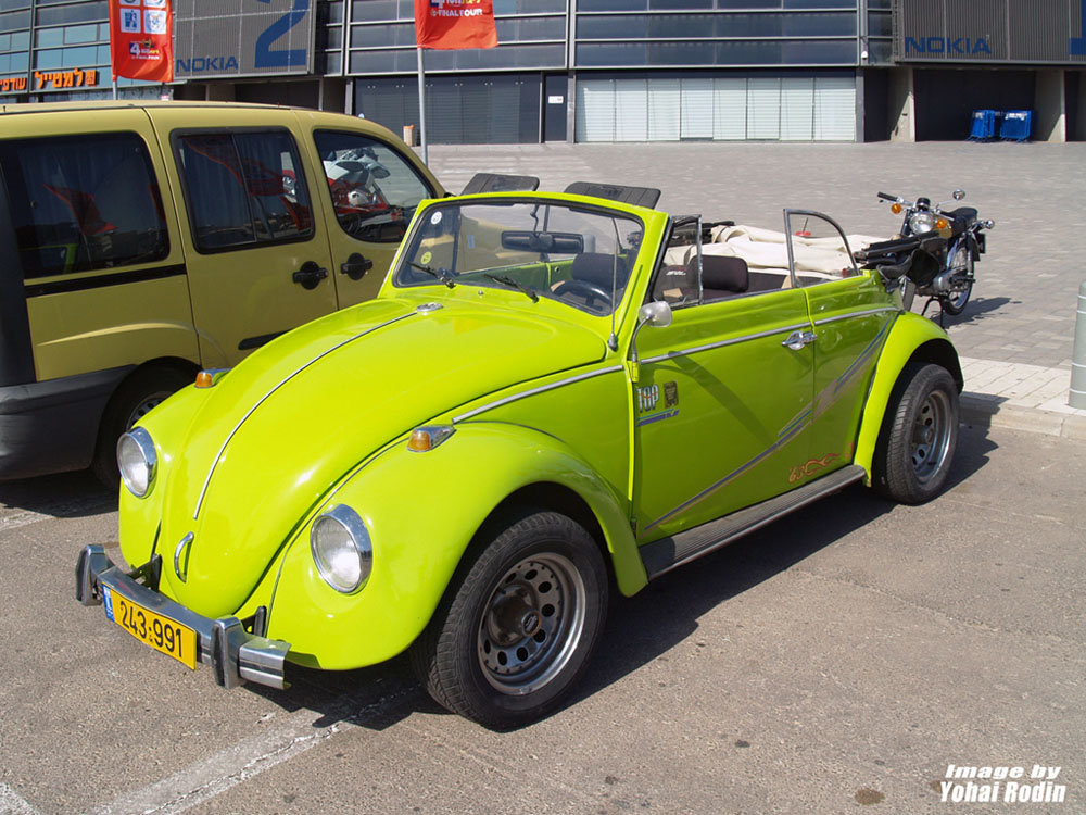 P5206866.JPG