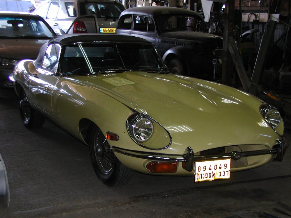 P6110046.jpg