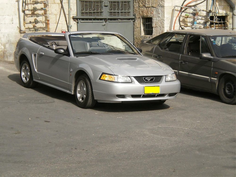 P9090100.jpg