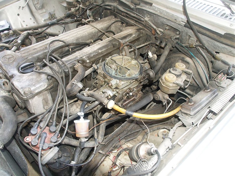 PB011252.jpg