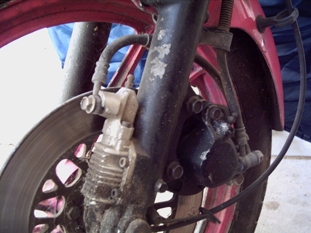 PICT0271.JPG