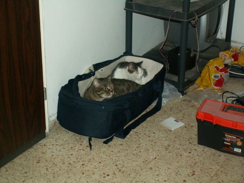 PICT0785.JPG