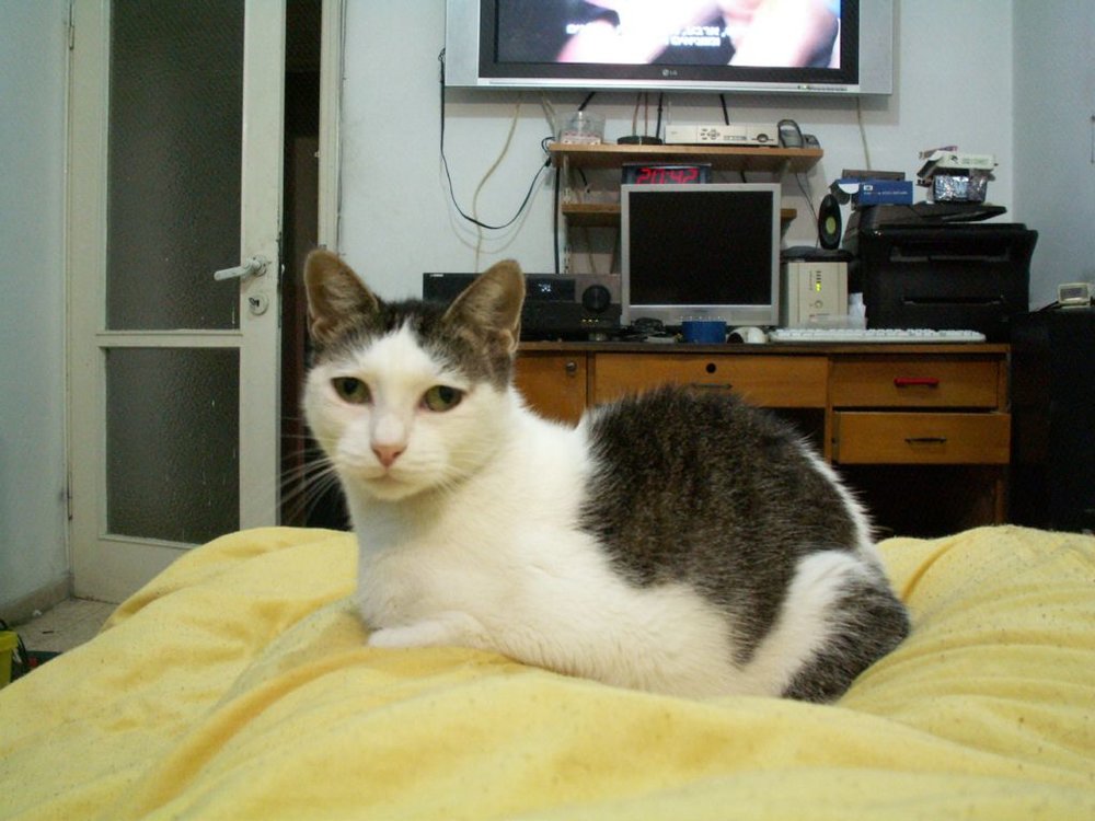 PICT0902.JPG