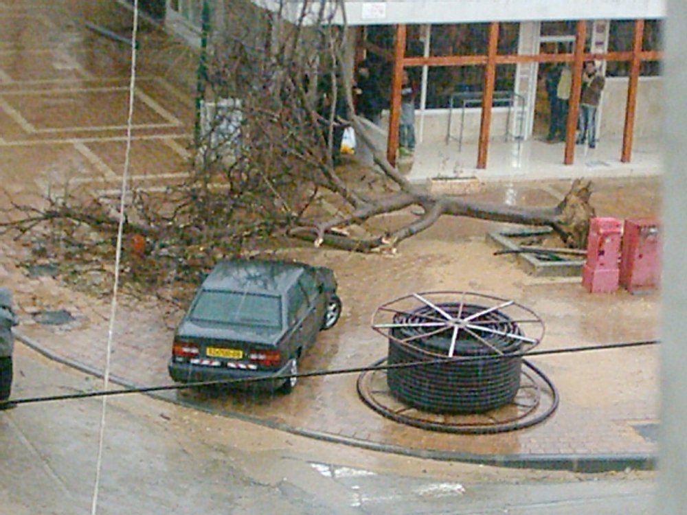 Pic00001.jpg