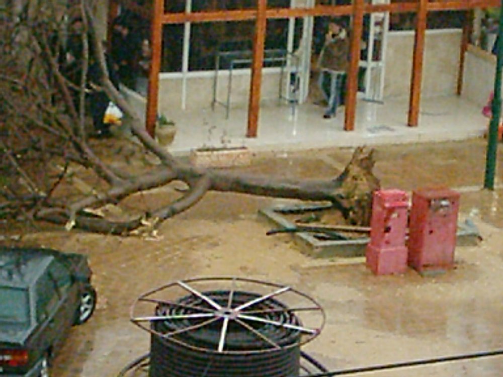Pic00002.jpg