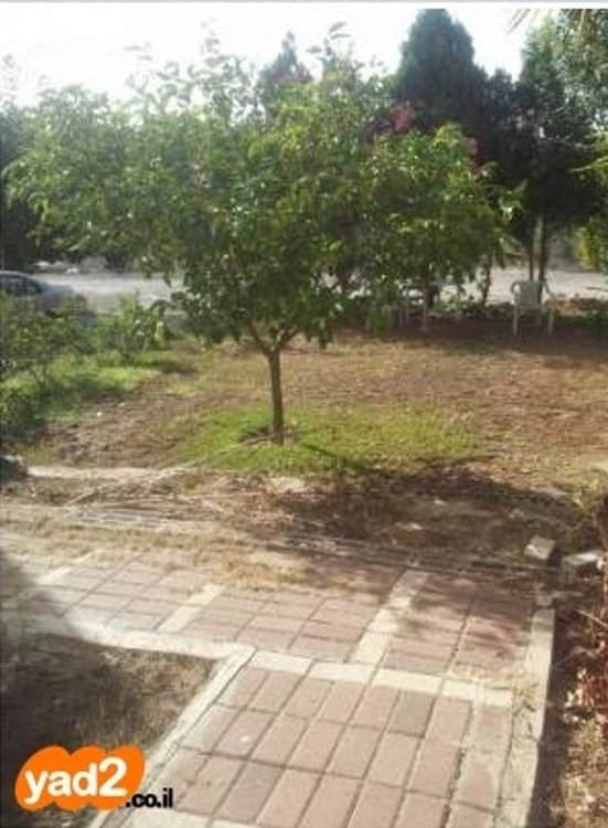Picture2.jpg