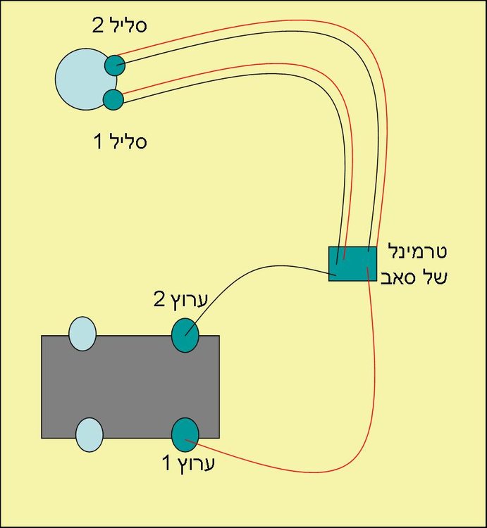 Picture2.jpg
