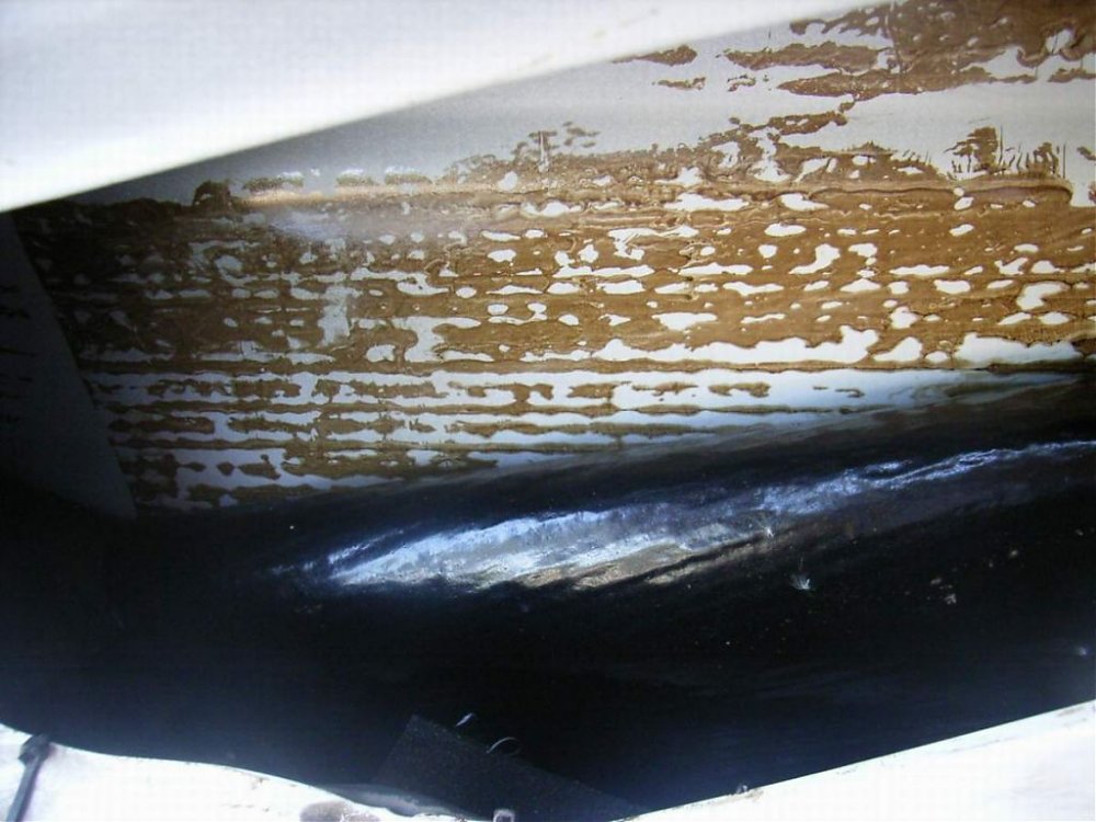 RIMG0024.jpg