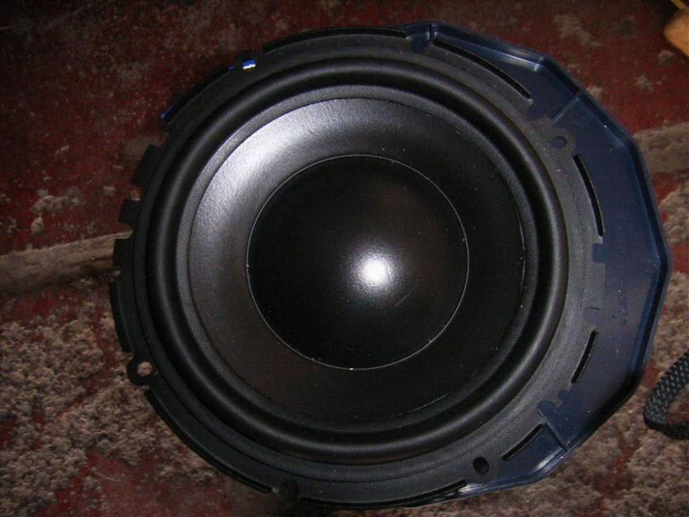 RIMG0170.jpg