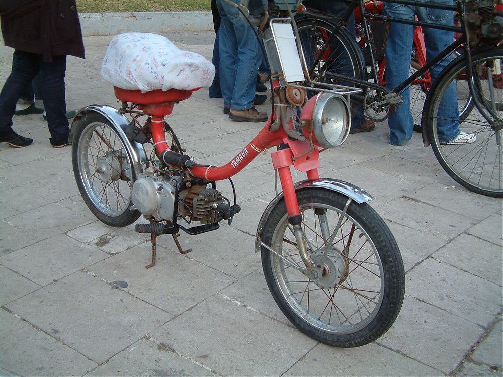 Recoverd_jpg_file(306).jpg