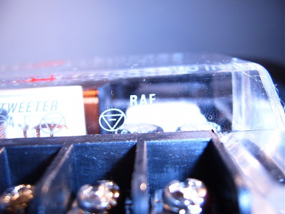S3700244.jpg