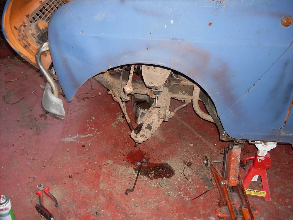 SDC10656.jpg