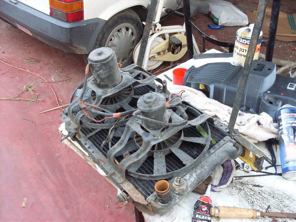 SDC10880.jpg