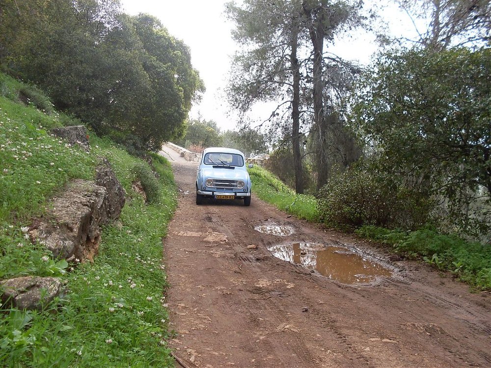 SDC10974.jpg